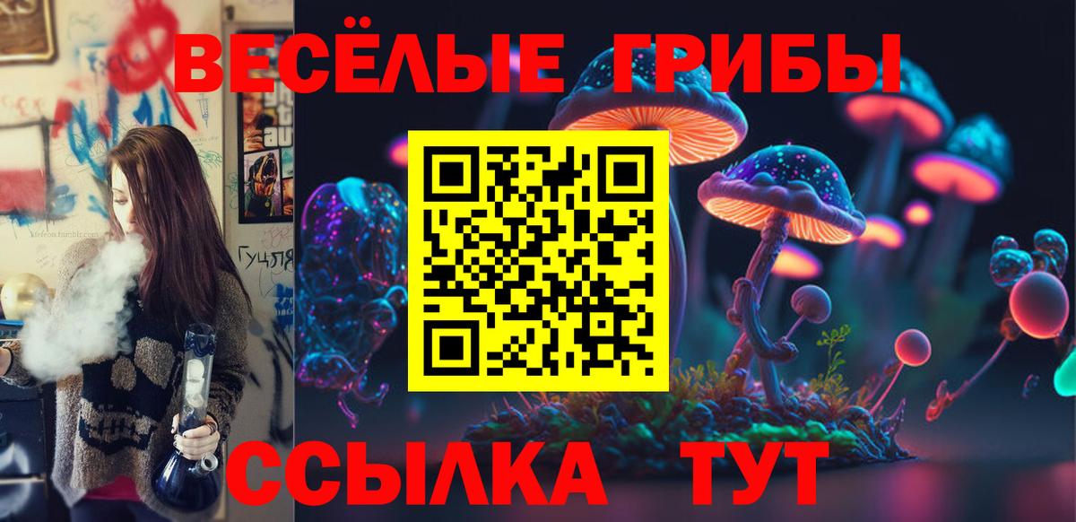 Рязань  Галлюциногенные грибы MAGIC MUSHROOMS  Вход с VPN 